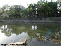 Imagine atasata: Bega - 2015.05.19 - 16.jpg